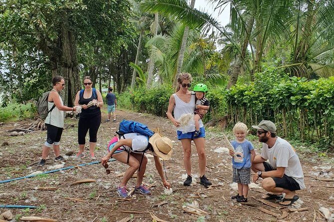 'Discover' Rarotonga Cycling Tour with Lunch - An In-Depth Look at the Itinerary