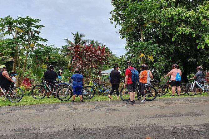 'Discover' Rarotonga Cycling Tour with Lunch - Authentic Insights from Reviewers
