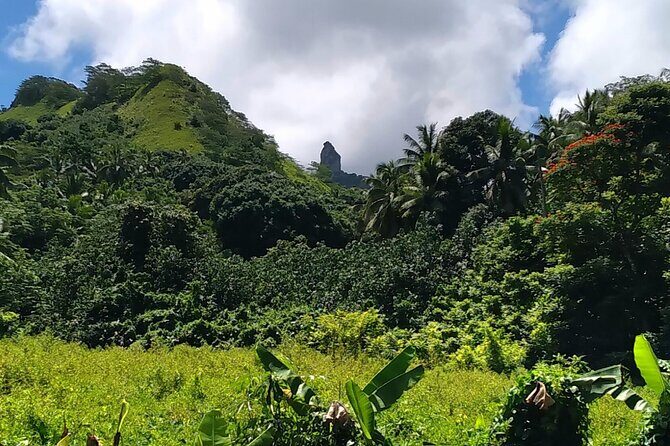 'Discover' Rarotonga Cycling Tour with Lunch - Who Would Love This Tour?