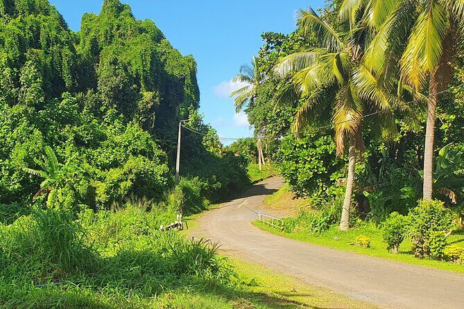 'Discover' Rarotonga Cycling Tour with Lunch - The Sum Up