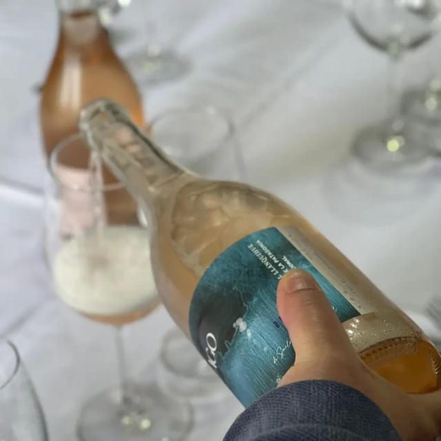 discover-regenerative-viticulture-at-casa-klocker-prambs