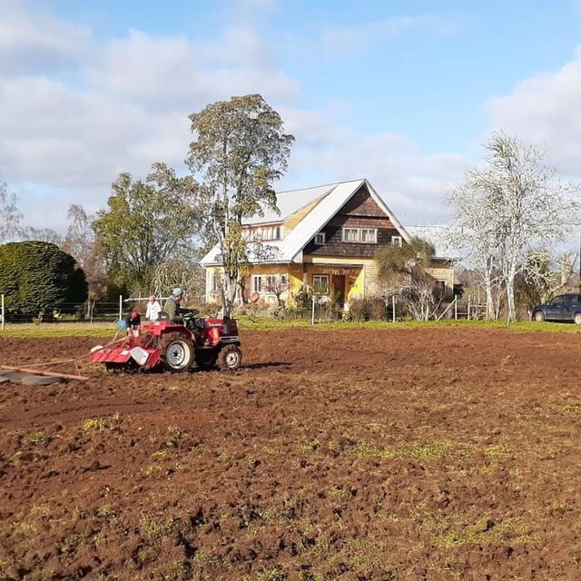 discover-regenerative-viticulture-at-casa-klocker-prambs