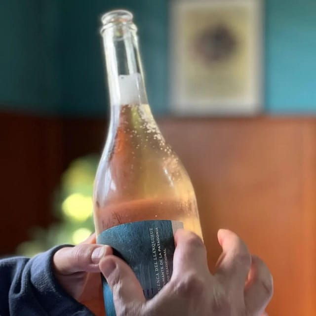 discover-regenerative-viticulture-at-casa-klocker-prambs