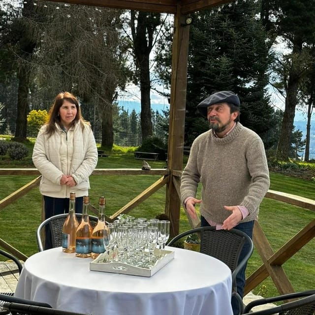 discover-regenerative-viticulture-at-casa-klocker-prambs