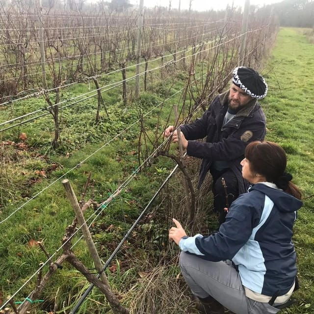 discover-regenerative-viticulture-at-casa-klocker-prambs