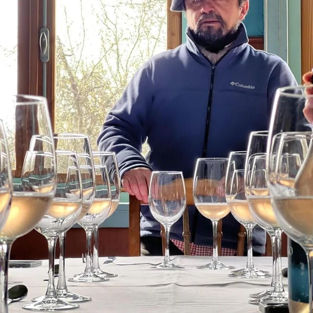 discover-regenerative-viticulture-at-casa-klocker-prambs