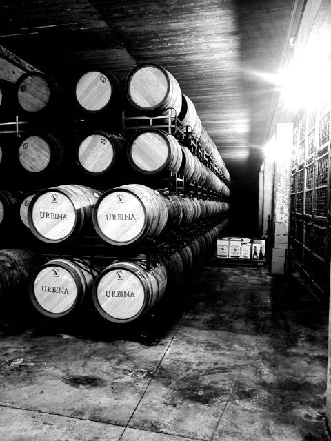 discover-rioja-3-wineries-exclusive-tastings-await-2