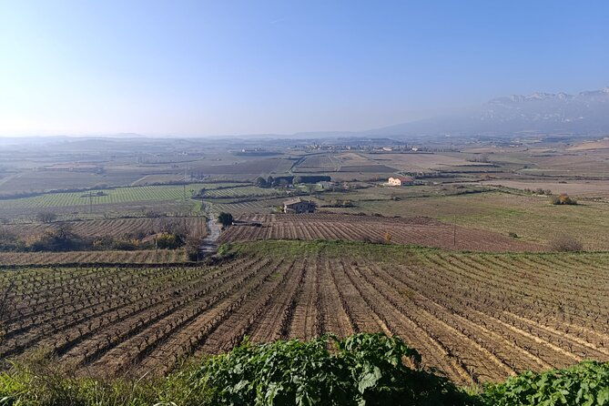 discover-rioja-3-wineries-exclusive-tastings-await