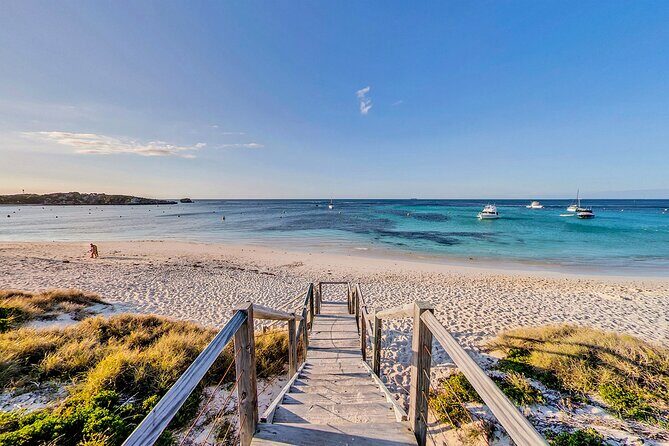 Discover Rottnest with Ferry & Bus Tour - FAQs