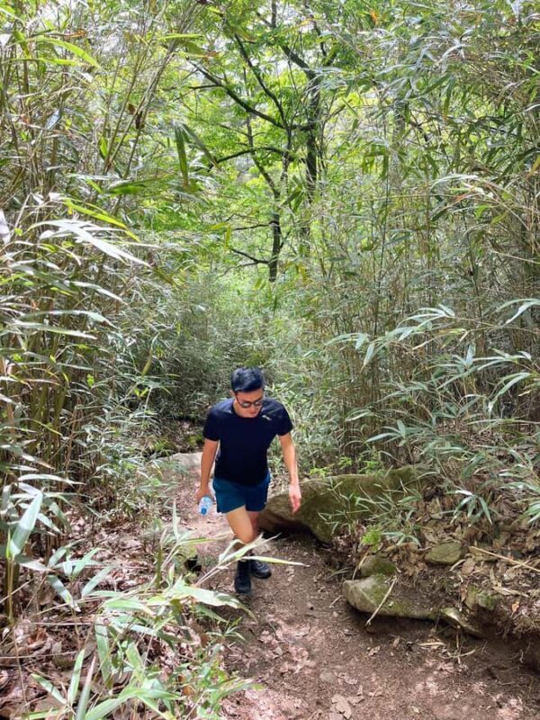 Discover Sacred Trails to Yongjangsa at Gyeongju's Namsan Mt - Key Points