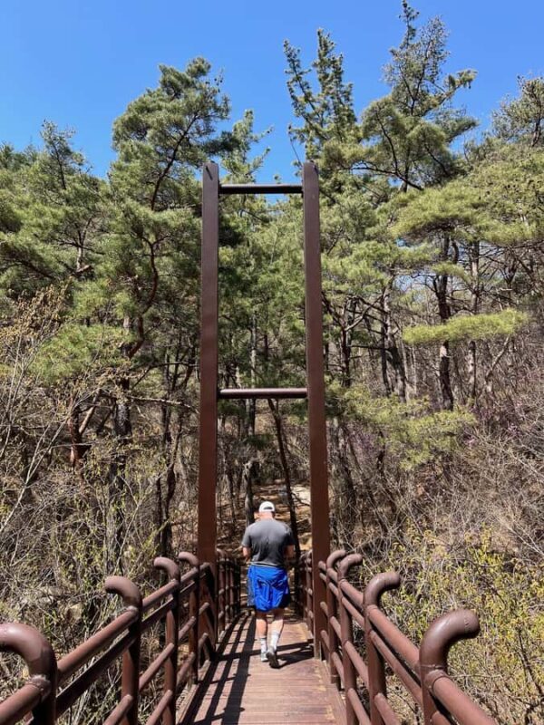 Discover Sacred Trails to Yongjangsa at Gyeongju's Namsan Mt - Authentic Feedback from Past Participants