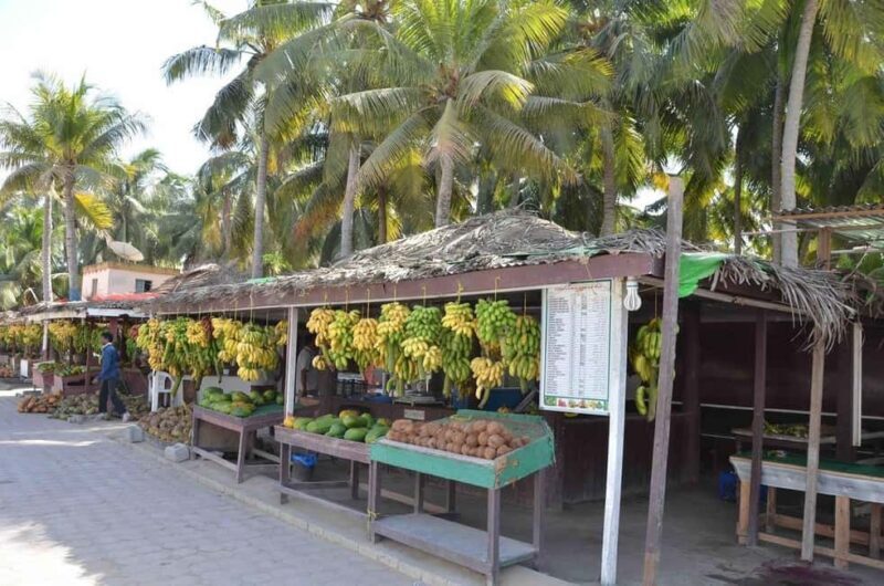 Discover Salalah City, History, Nature, Culture - FAQ