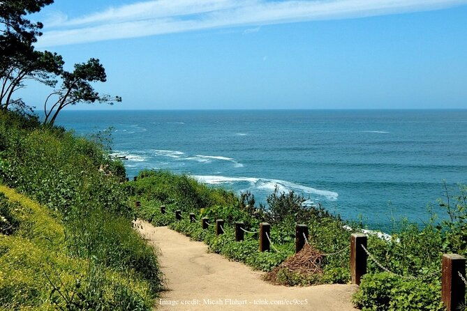 discover-san-diegos-beaches-private-driving-tour