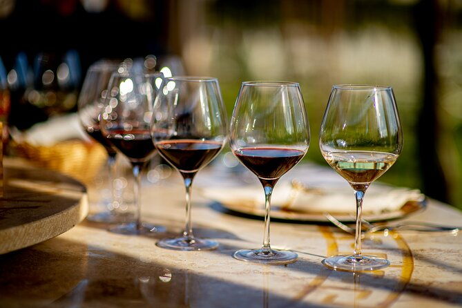 discover-san-gimignano-from-livorno