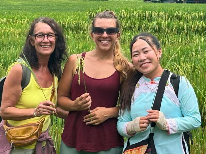 Discover Sapa: 1-day trek to Y Linh Ho, Lao Chai & Ta Van - A Deep Dive into the Sapa Trek Experience