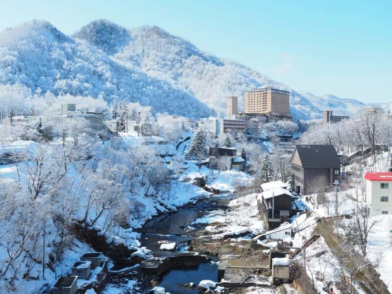 Discover Sapporo: Iconic Buddha,Beer Museum & Jozankei Town - Who Will Love This Tour?