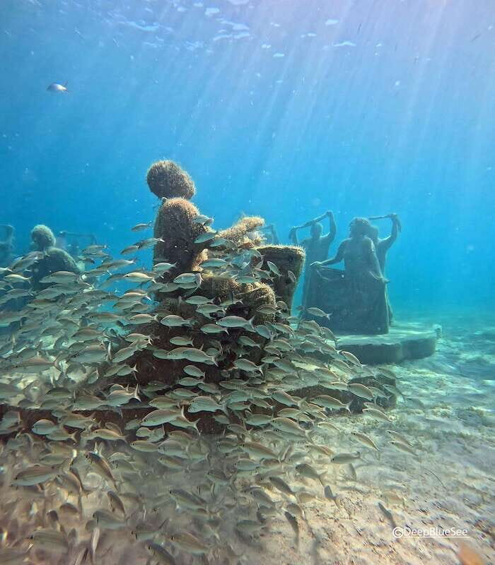 Discover Scuba at the Underwater Sculpture Park - What to Expect: A Step-by-Step Breakdown