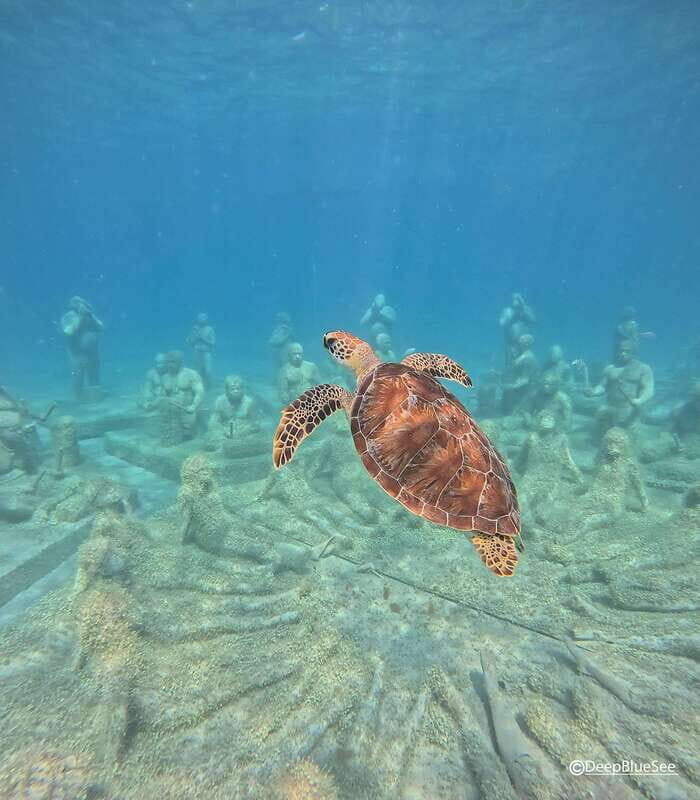 Discover Scuba at the Underwater Sculpture Park - Diving Deeper: What Makes This Experience Stand Out?