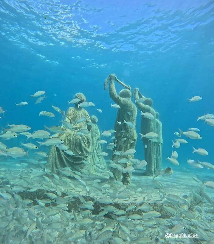 Discover Scuba at the Underwater Sculpture Park - Practical Tips for a Smooth Experience