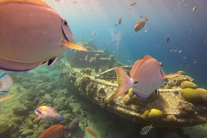 discover-scuba-dive-in-curacao