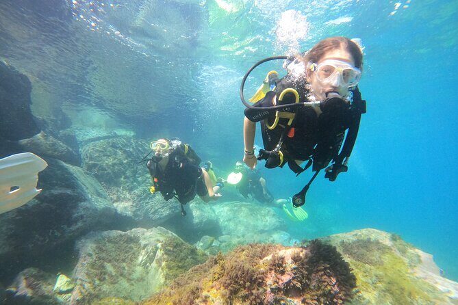 Discover Scuba Dive in Gran Canaria - An Honest Look at the Experience