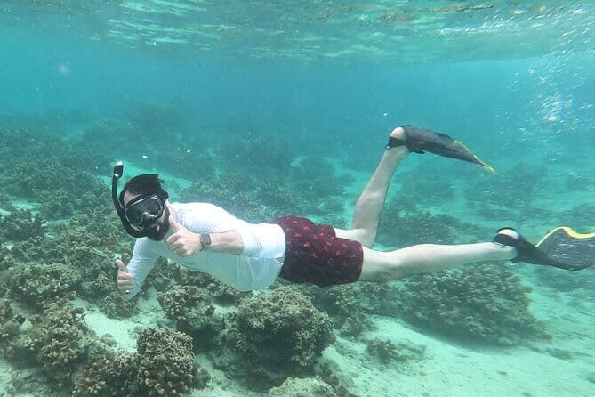 Discover SCUBA Diving 2 DIves Minna, Sesoko , Motobu Okinawa - FAQ