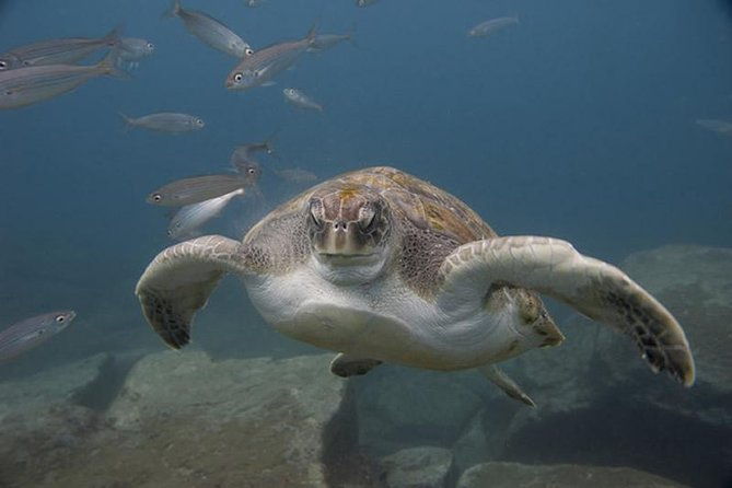 discover-scuba-diving-6