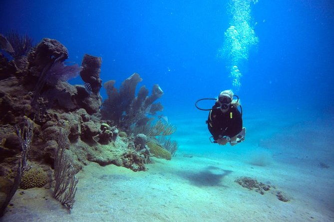 discover-scuba-diving-9
