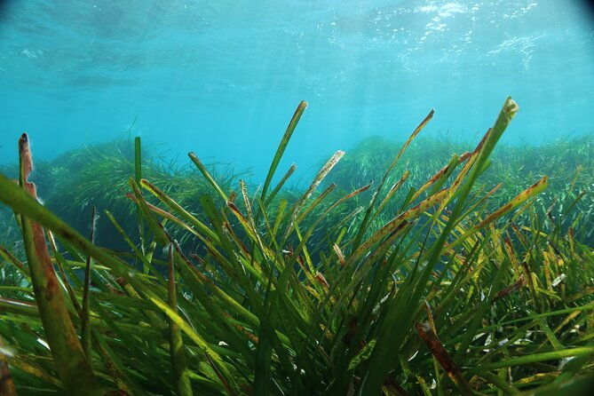 discover-scuba-diving-amathountas-ancient-port-2