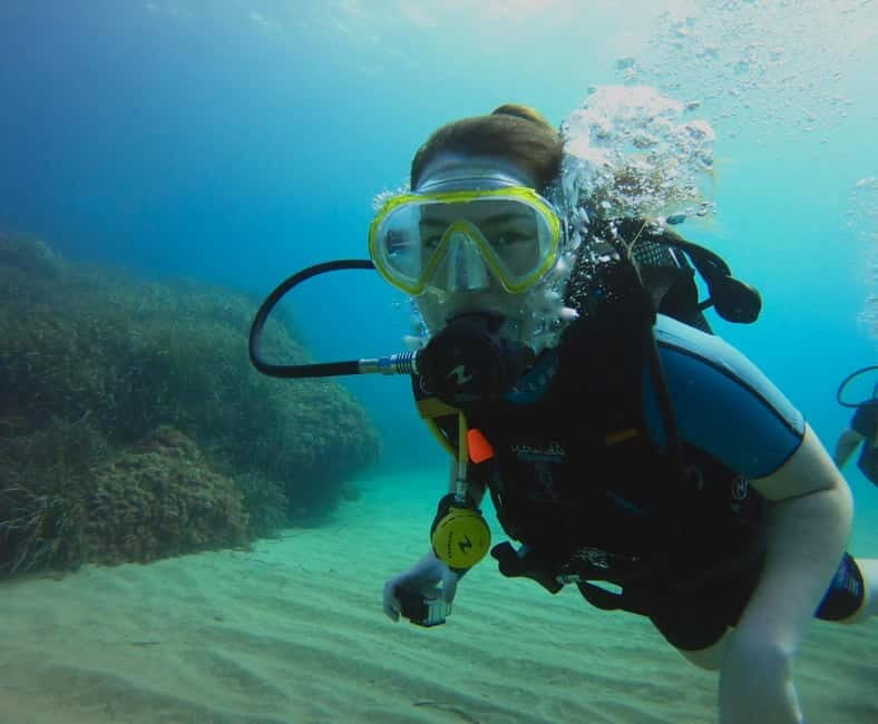 Discover Scuba Diving Boat Tour - Why This Tour Offers Great Value