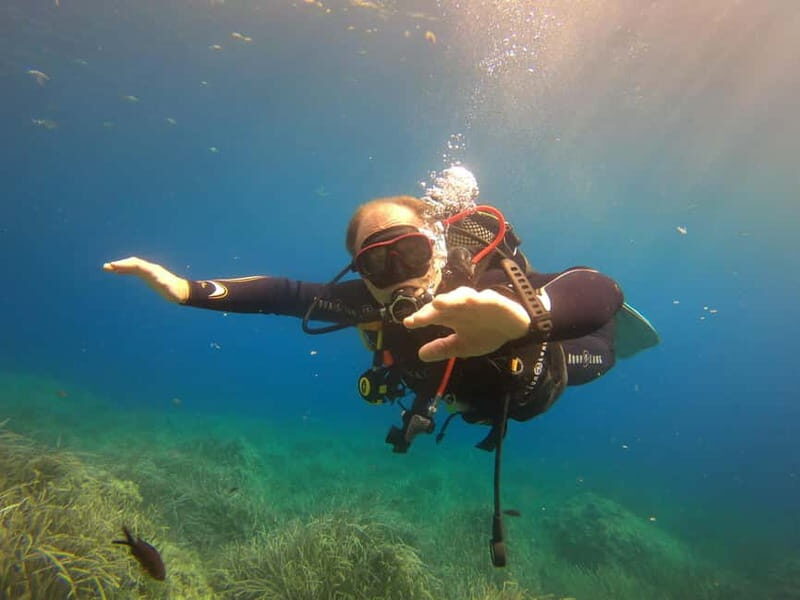 Discover Scuba Diving Boat Tour - The Experience Provider: OCTOPUS MALLORCA