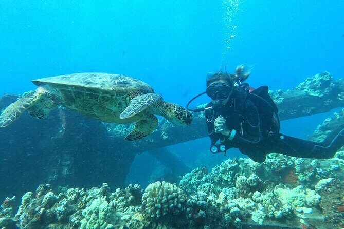Discover Scuba Diving Class from Lahaina - Why Choose the Discover Scuba Class in Maui?
