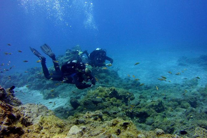 discover-scuba-diving