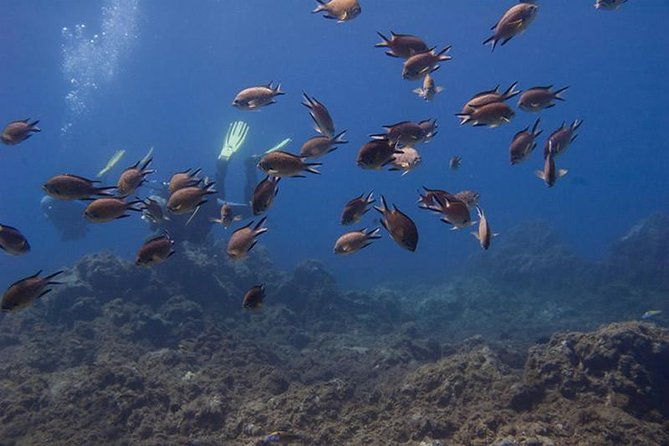 discover-scuba-diving