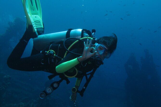 Discover Scuba Diving Day Trip in Amed and Tulamben - Key Points