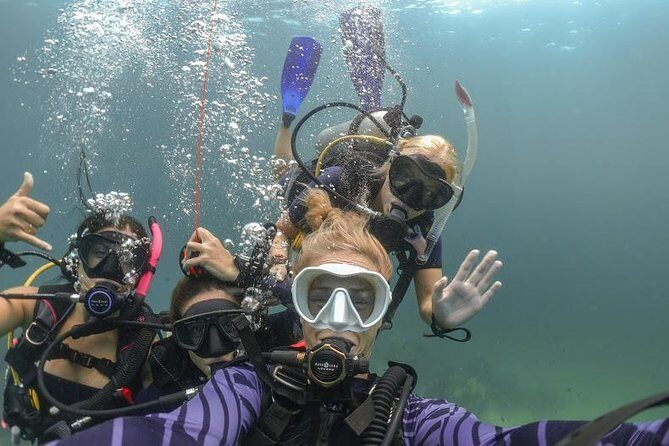 Discover Scuba Diving (DSD) 1 day Experience - Key Points