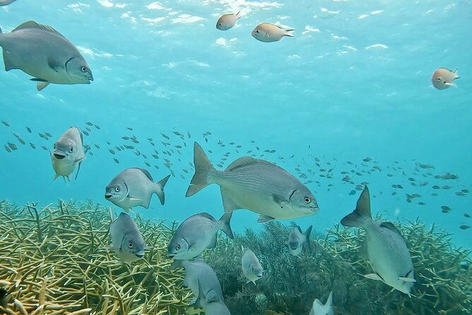 discover-scuba-diving-experience-2