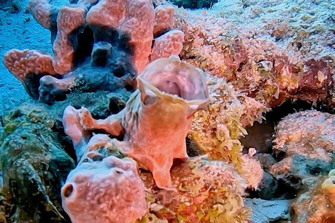 discover-scuba-diving-experience-2