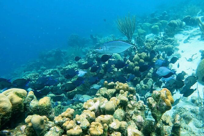 discover-scuba-diving-experience-2