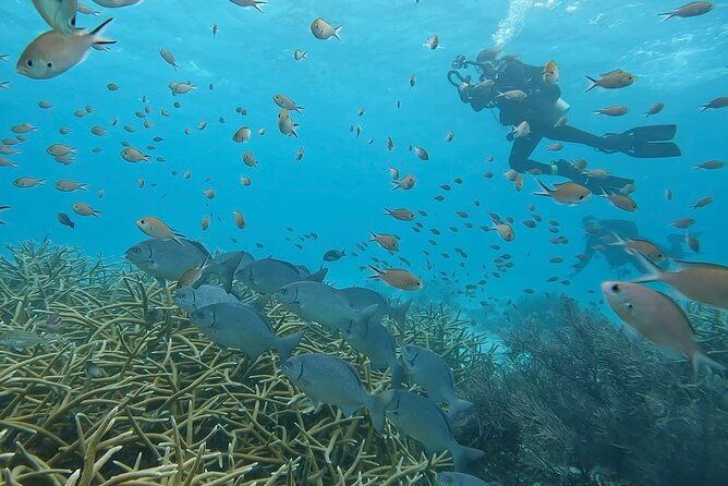 discover-scuba-diving-experience-2