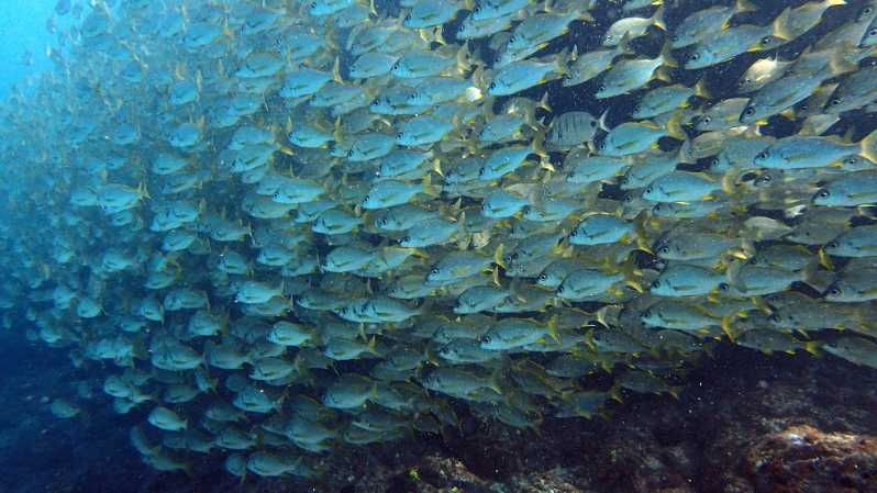 discover-scuba-diving-experience-3