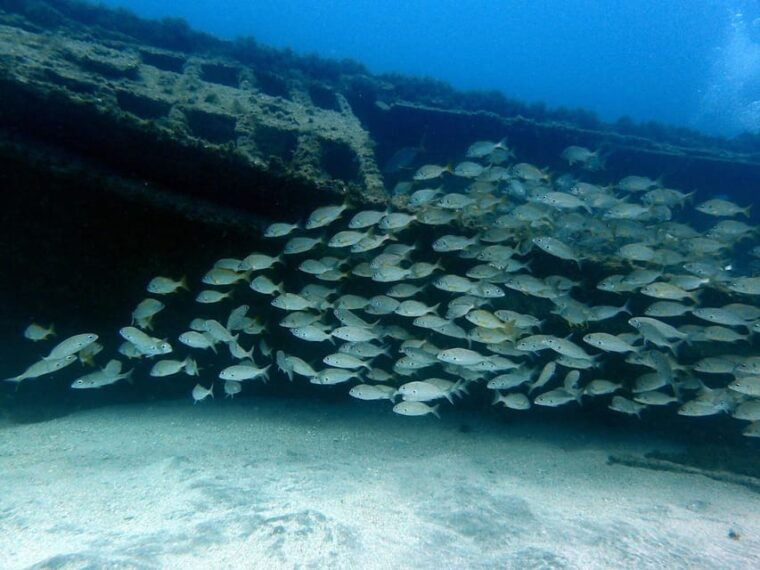 discover-scuba-diving-experience-3