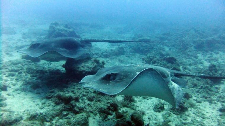 discover-scuba-diving-experience-3