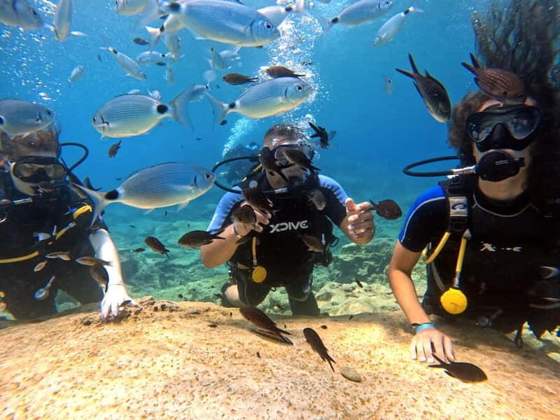 Discover Scuba Diving Experience - Key Points