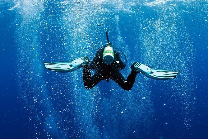 Discover Scuba Diving Experience - Why This Experience Offers Good Value