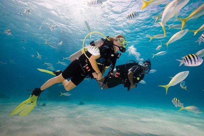 Discover Scuba Diving Experience - An Introduction to the Discover Scuba Diving Experience in Mauritius