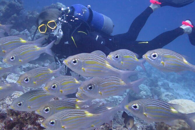 Discover Scuba Diving Experience- Bel Ombre - A Closer Look at the Experience