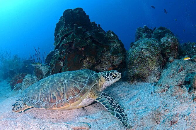 discover-scuba-diving-experience