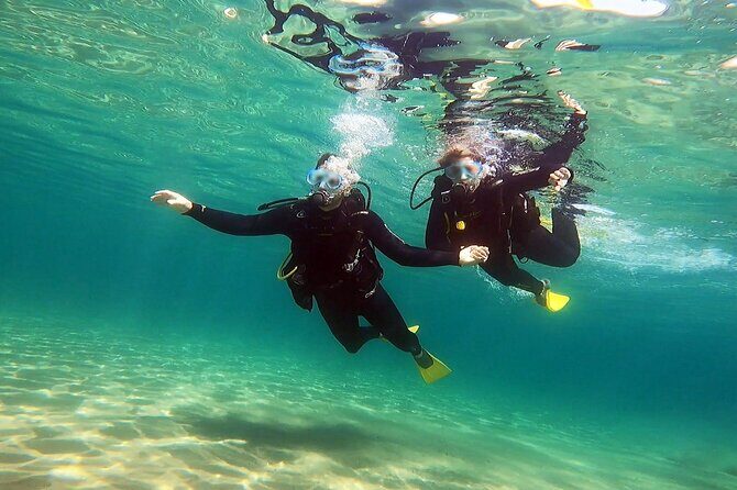 Discover Scuba Diving Experience in Nea Makri, Athens - Who Should Consider This Tour?