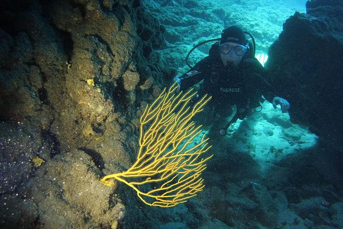 discover-scuba-diving-first-step-to-your-certification-2